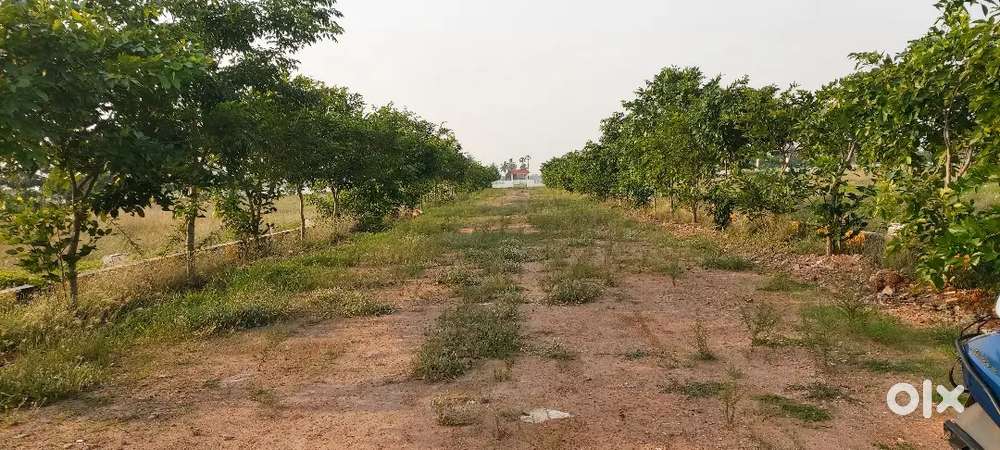 Resale plot(GUDA approved)