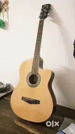 Ibanez Acoustic Guitar