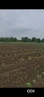 Farm for sale (3.5 Acres)