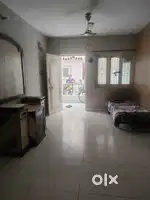 1bhk flat rent