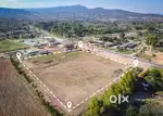 6000 sqft of Plot with Mango Trees available in managed Farm land