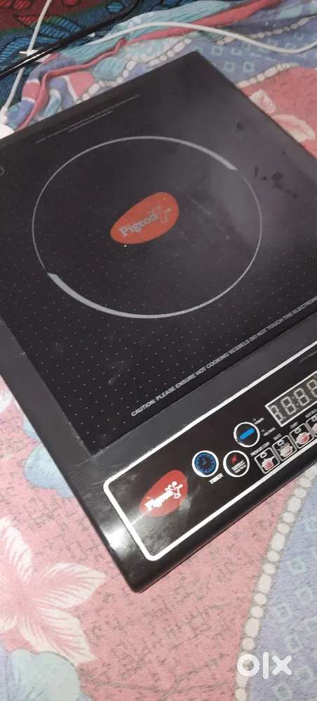 Induction oven  pigeon