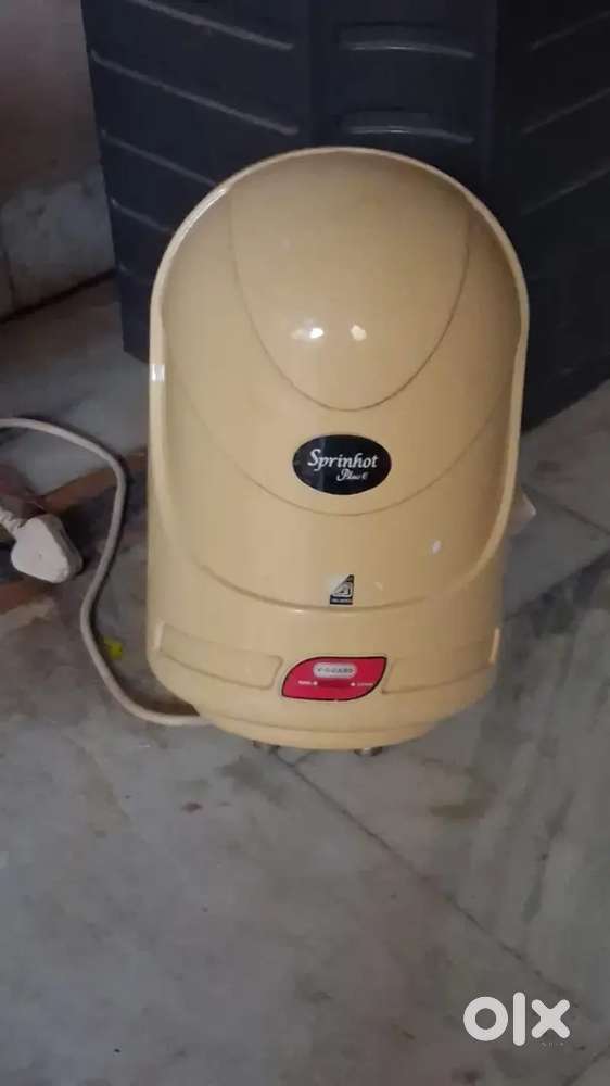 Electric geyser