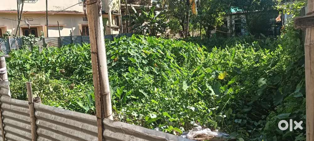 Vivekananda road 4 khatha plot for sale