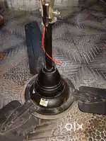 Ceiling fan