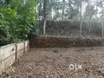 Square plot
