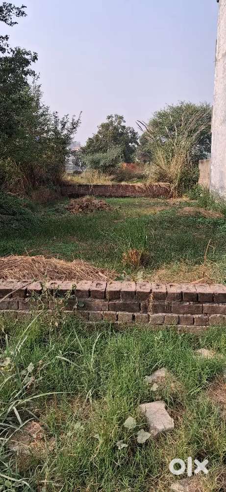 50 Gaj plot on 80 feet road