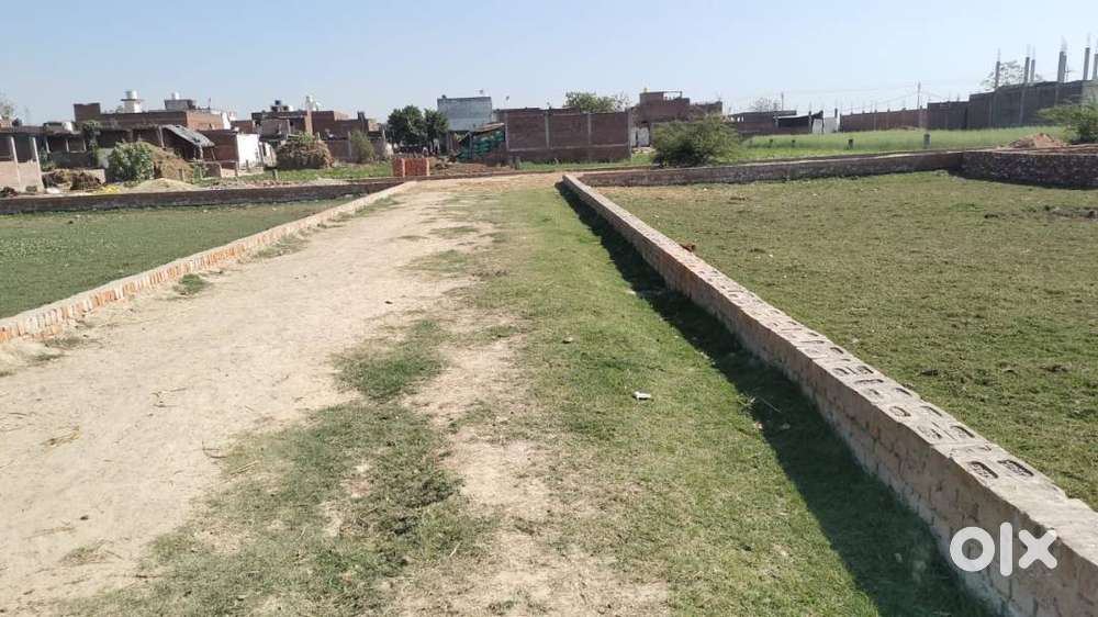Tri Agro Projects Face 4
