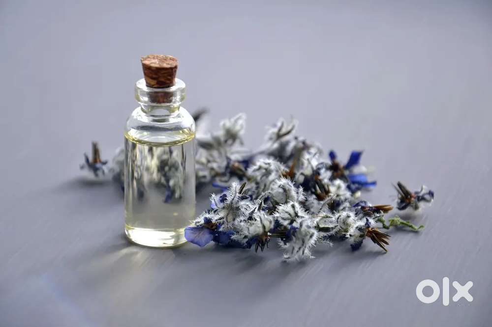 Requirement Male Candidates for Spa Therapy & Relaxation Work