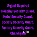 Top Salary Security Jobs Chandigarh - All India Candidates Welcome
