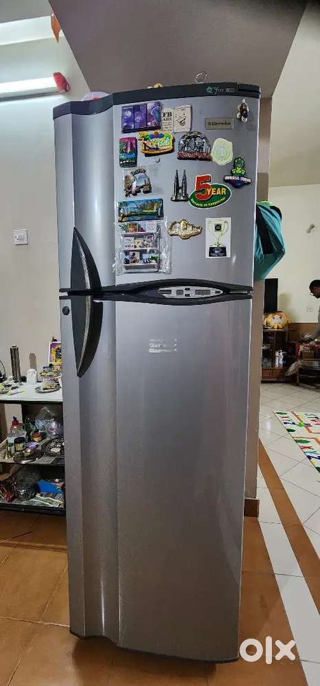 Electrolux double door refrigerator with 275lt capacity