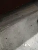 Driver for personal Car