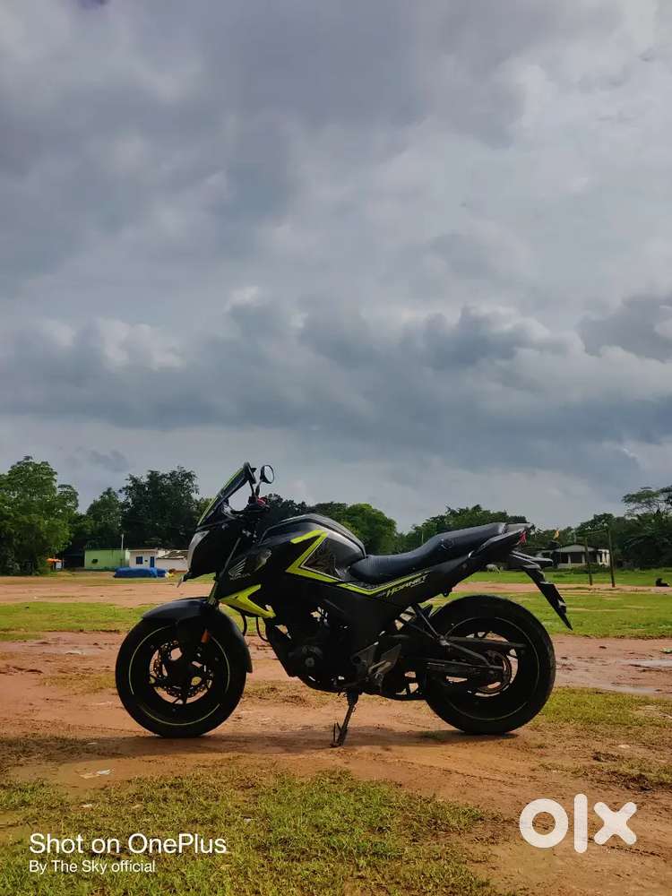 Honda hornet
