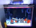 Aquarium 2 fitt by 18 inch moulded