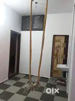 Room rent for bachelors(only for vegetarians)