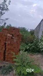 Daan patra plot