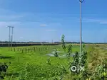 Plot for sell