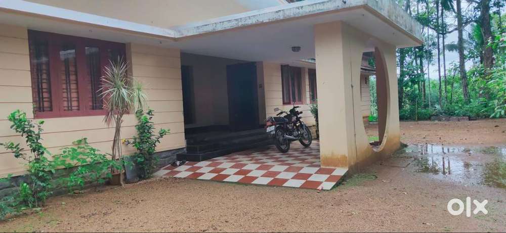 For sale land with concrete roof house