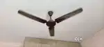 Celing Fan 1200mm Orient make