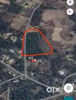 Emergency! LAND FOR SALE IN ZUKIHE VILLAGE (1 BIGHA)
