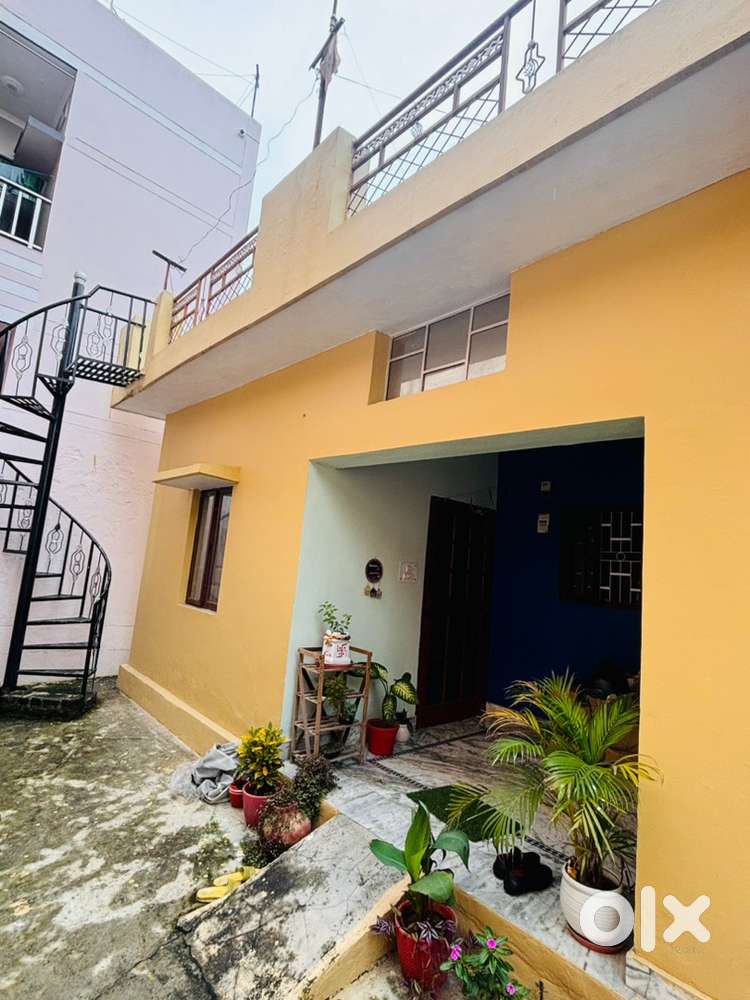 Pushp Vihar colony, Pushp Vihar road near upper tunwala, Dehradun