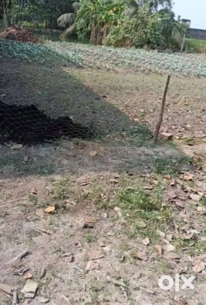 রাস্তার কাছে 5 কাঠা জায়গা total 600000 টাকায়