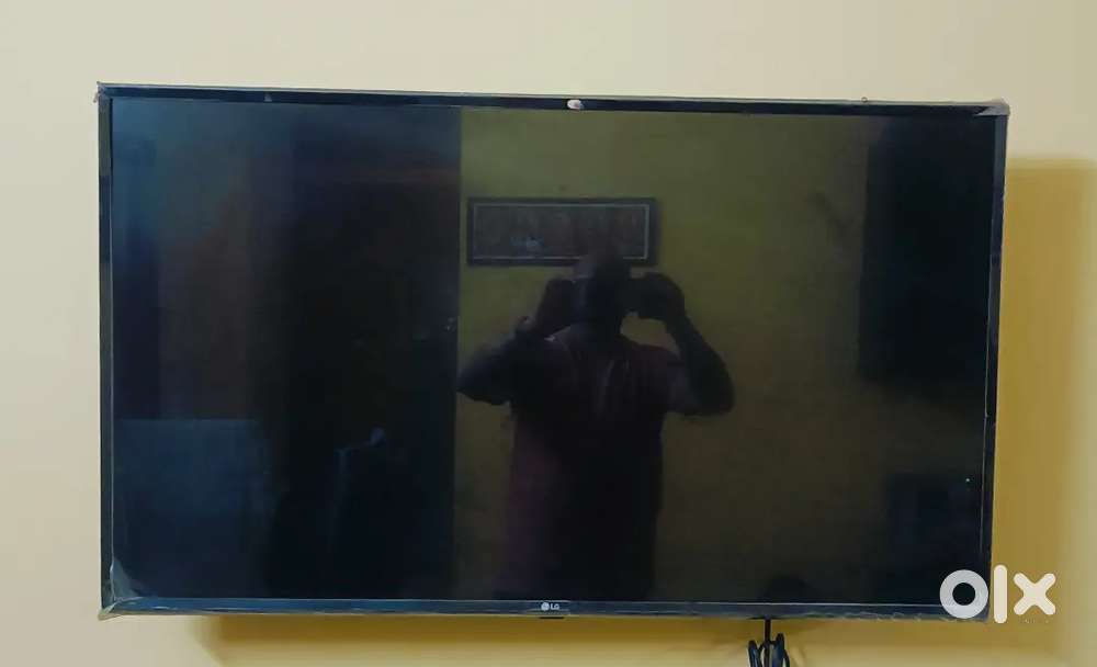 Sale for LG TV, Panel issue.