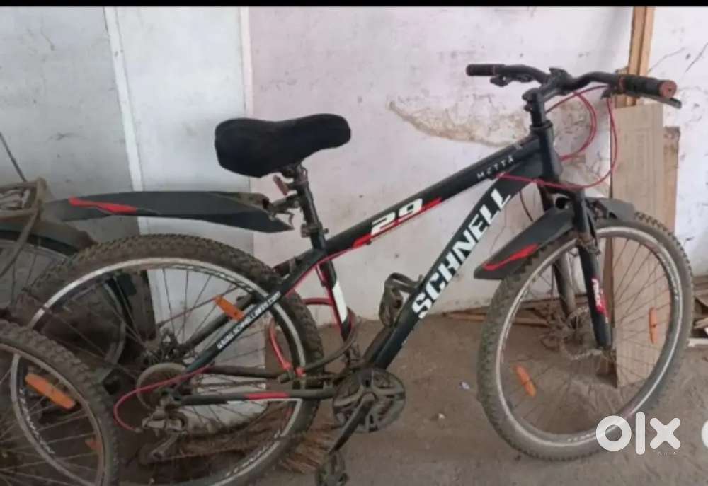 SCHNELL META CYCLE