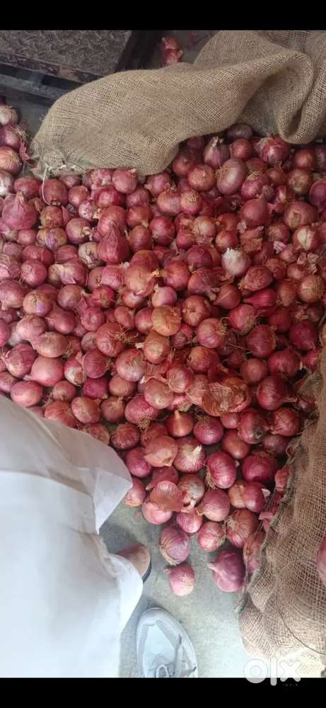 പൂനാ സവാള 21 rs