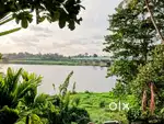 33 cent periyar river waterfront land for sale in kalady,airport,aluva