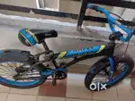 Rally bycycle