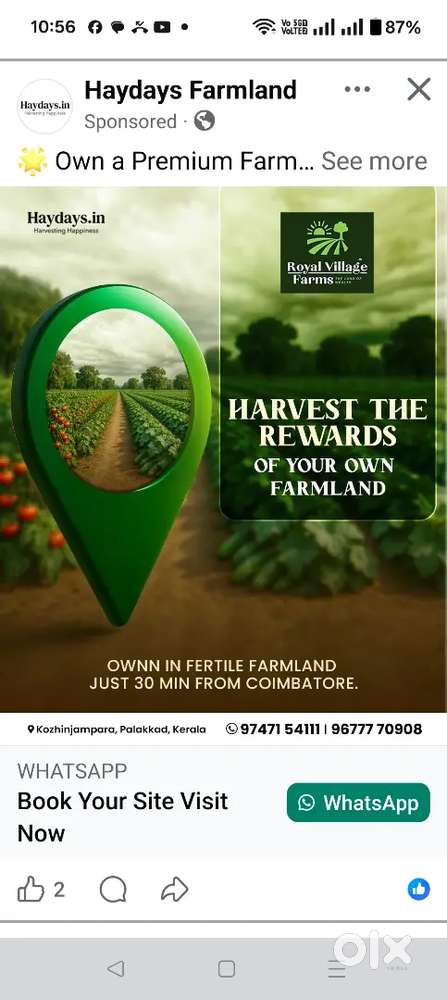 White sandal wood farming project in Bhapur Atahagarh Cuttack Odisha