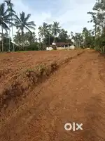 Sulthan bathery 3 km house