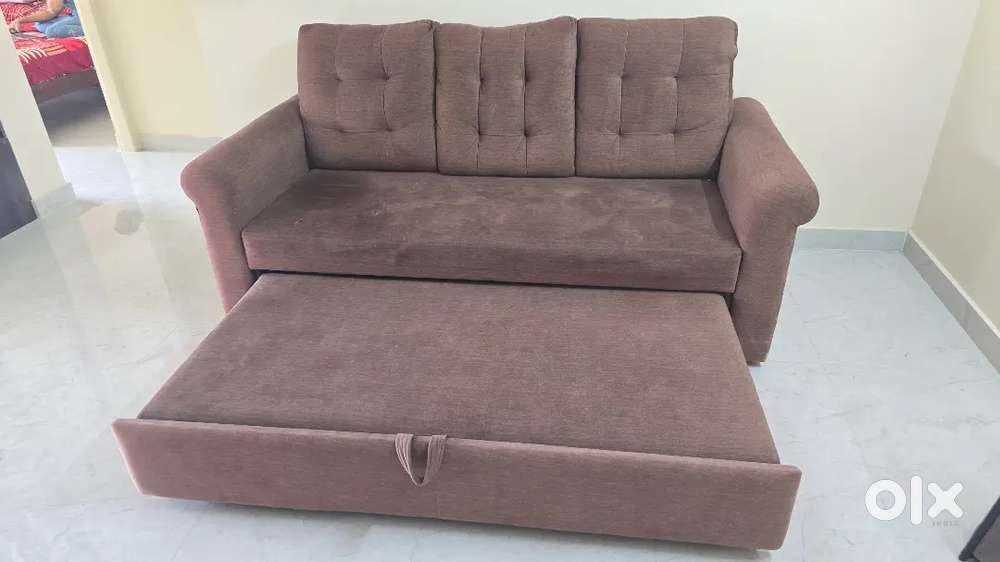Sofa Cum Bed – Only 2 Yrs Old – Quick Sale