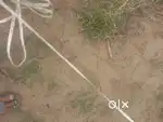 खाली प्लॉट को रिसेल