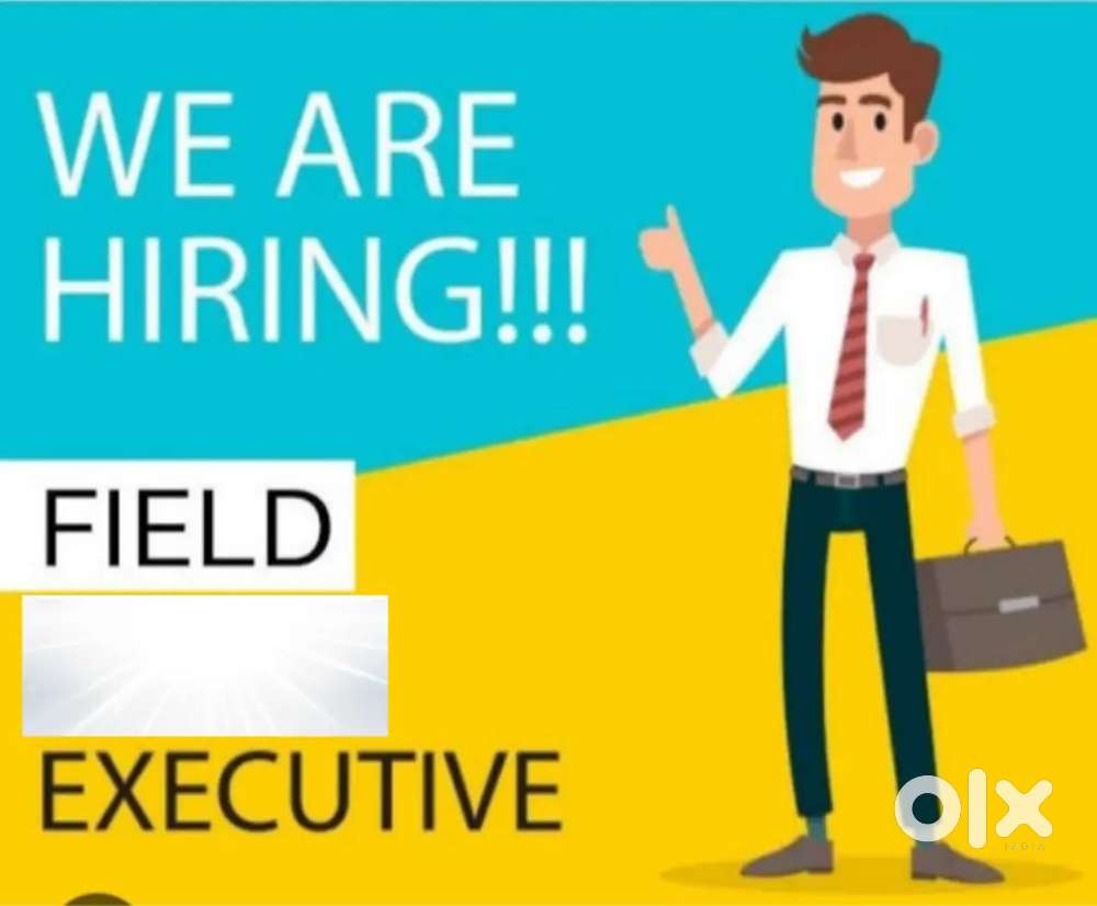 Collection executive