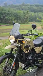 Himalayan 411 limited edition
