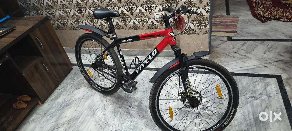 Brand-Vivelo model-hector,double disc bicycle,bought in 2024 november.