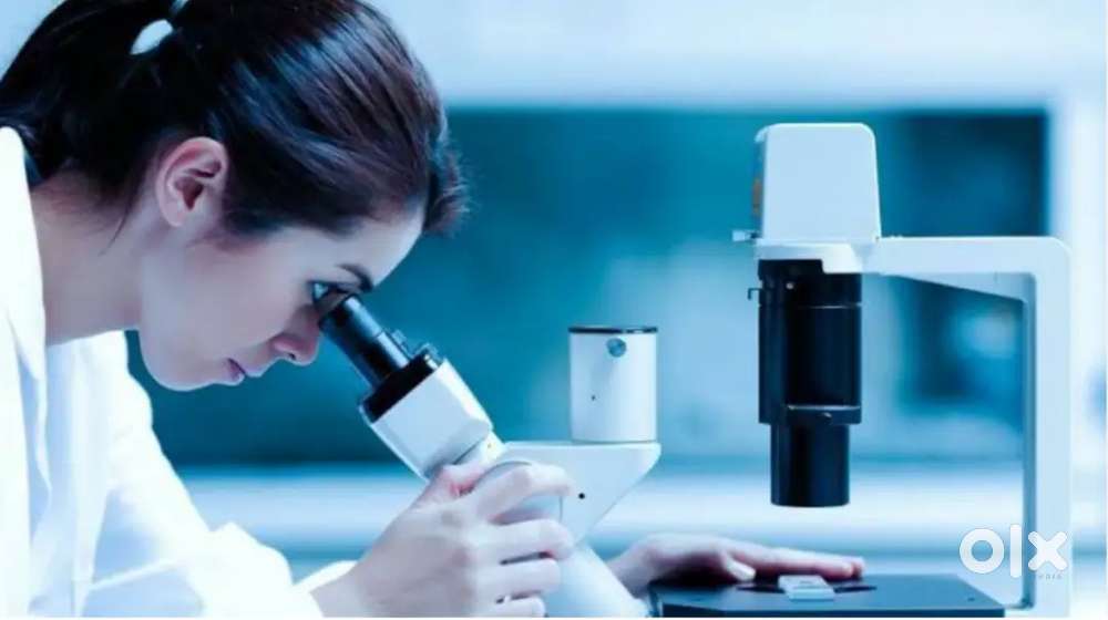 Medical Lab Technician Teaching Staff Wanted