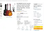 Blueberry guitar with truss rod
