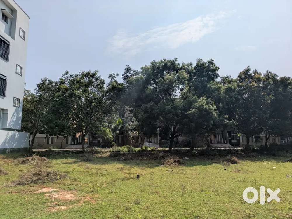 BESIDE SANSKRUTI GLOBAL SCHOOL, BONANGI, DESAPATRUNIPALEM(STEEL PLANT)