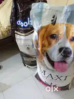 Dog dry food