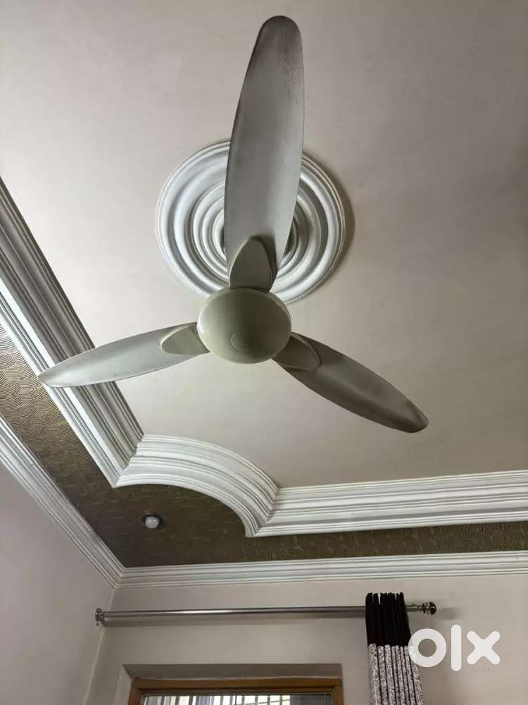 Ceiling fan