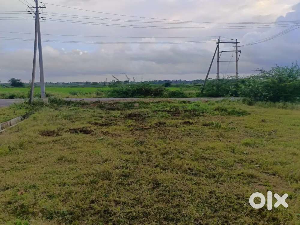 Site for sale near (Behind )Sarkari naukara badavane hantha 2