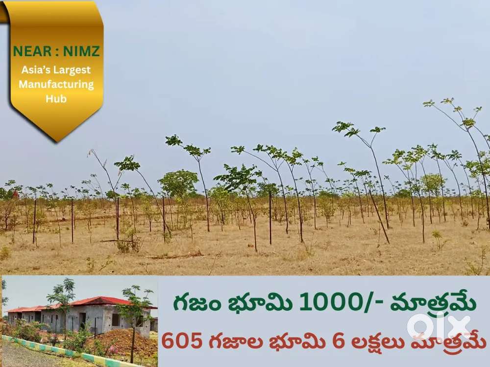 605 SQYDS 6LAKHS ONLY