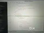 Website Devloper