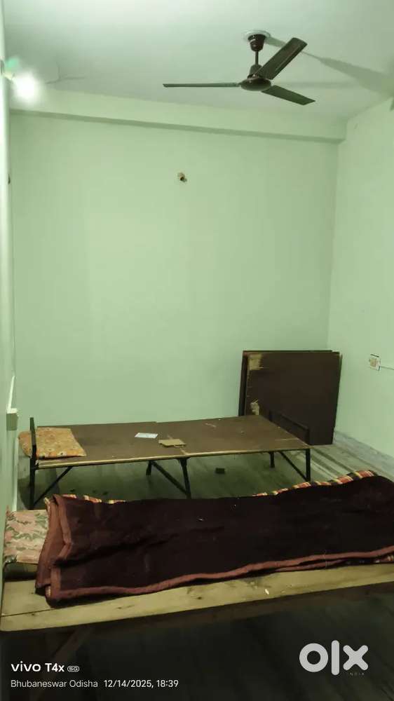 Need bachelor boys (job holder & student)