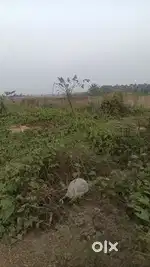 Well Demarcated & Boundary walled 3katha plot available for sale
