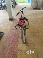 Bicycle (3 years old)