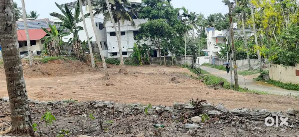 Kattayikkonam madavoorpara mainroad to 350mtr 5cents plot